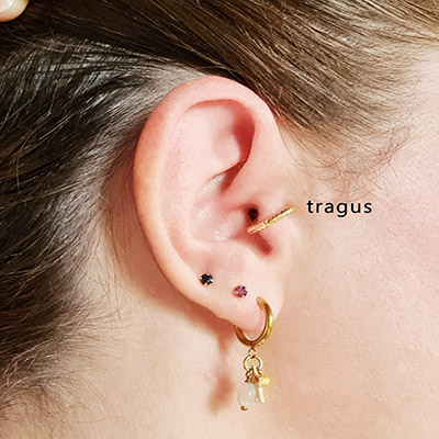 Photo oreille tragus