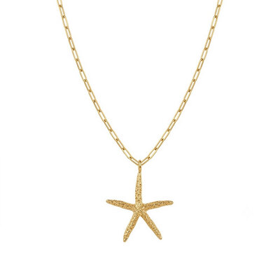 Collier Marina étoile de mer- Acier inoxydable - Bijoux fantaisie femme - idée cadeau -été - Olympe bijoux - Colliers - chaine- choker2