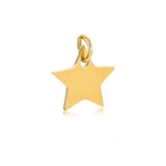 breloque-etoile-acier-inoxydable-olympe-bioux-fantaisie-femme