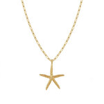 Collier Marina étoile de mer- Acier inoxydable - Bijoux fantaisie femme - idée cadeau -été - Olympe bijoux - Colliers - chaine- choker2