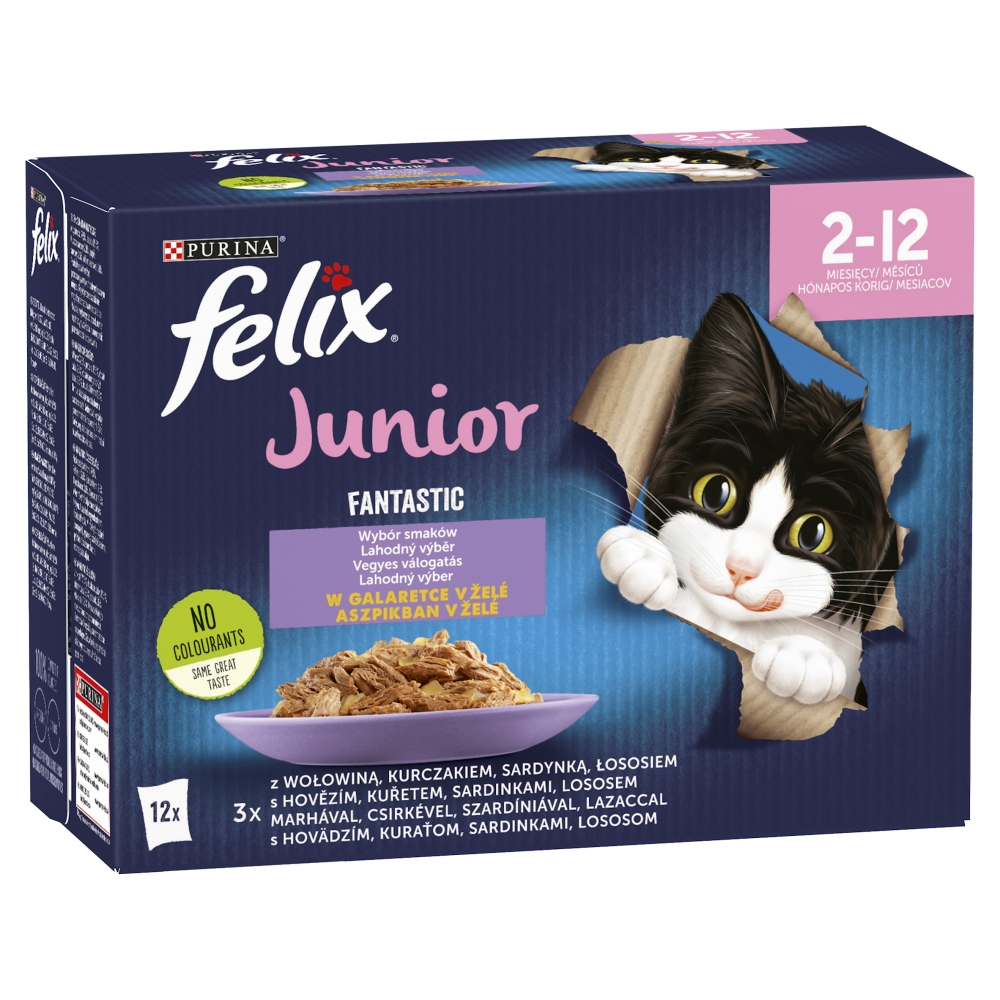 junior