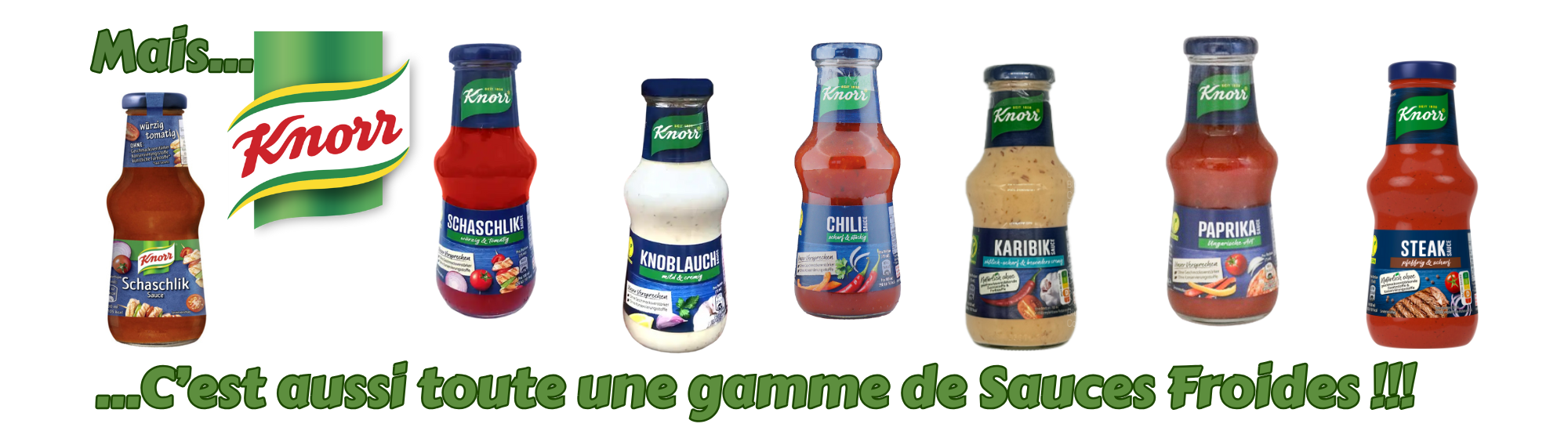 knorr 2
