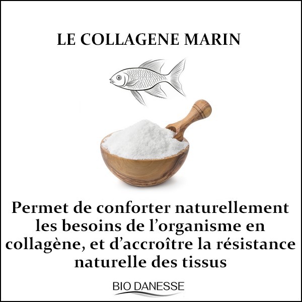collagen-marin-vertus-pour-la-peau