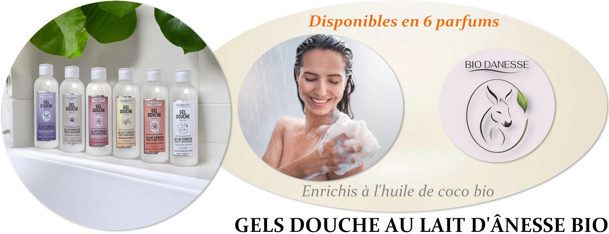 Détails et infos >>>