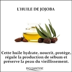 l-huile-de-jojoba-pour-la-peau