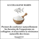 collagen-marin-vertus-pour-la-peau