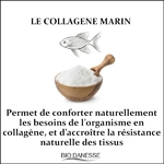 collagen-marin-vertus-pour-la-peau