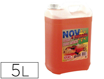 NETTOYANT MENAGER 5L