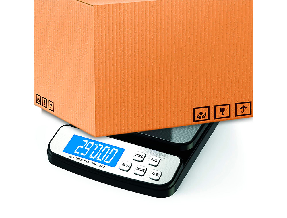 GPDIS BALANCE ELECTRONIQUE 167849 4