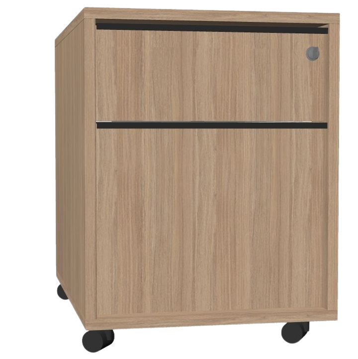 SKAP CAISSON MOBILE CHENE 2 TIROIRS DNF626-D2D2AQ