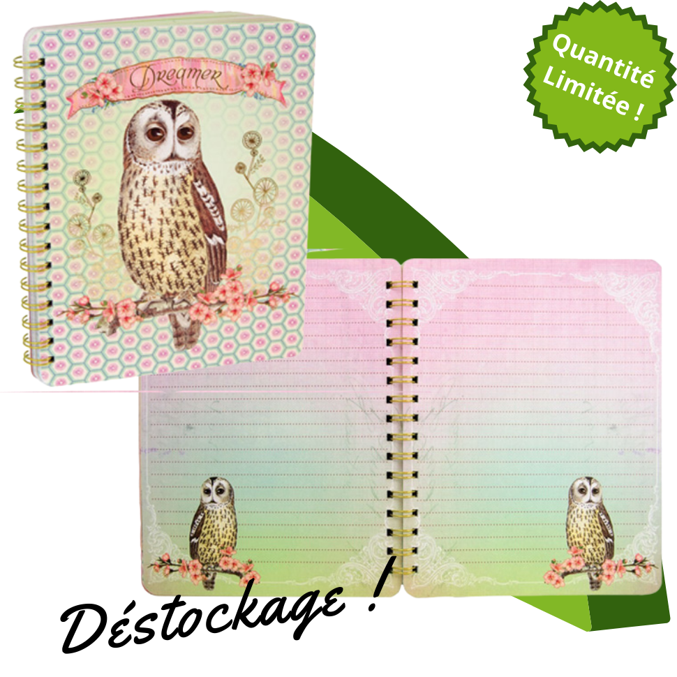 papaya_dreamer_spiral_notebook2