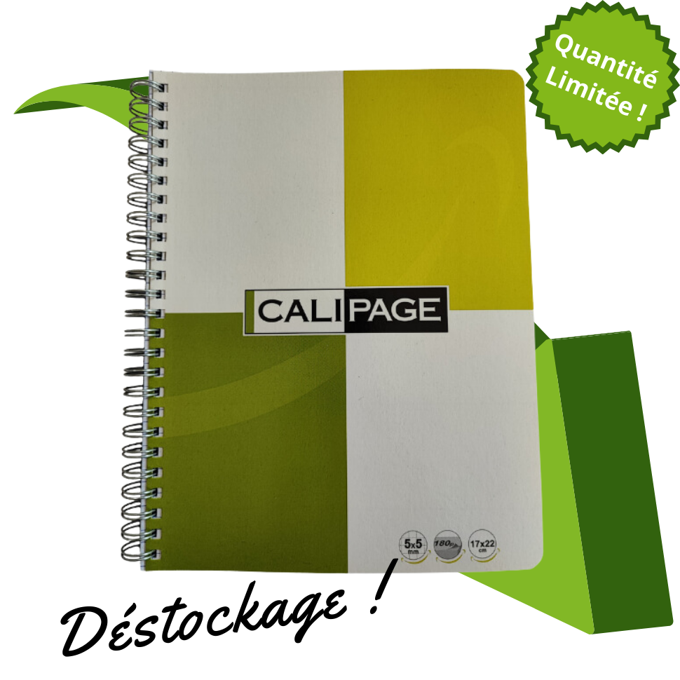 CALIPAGE CAHIER CITRON 415791.2
