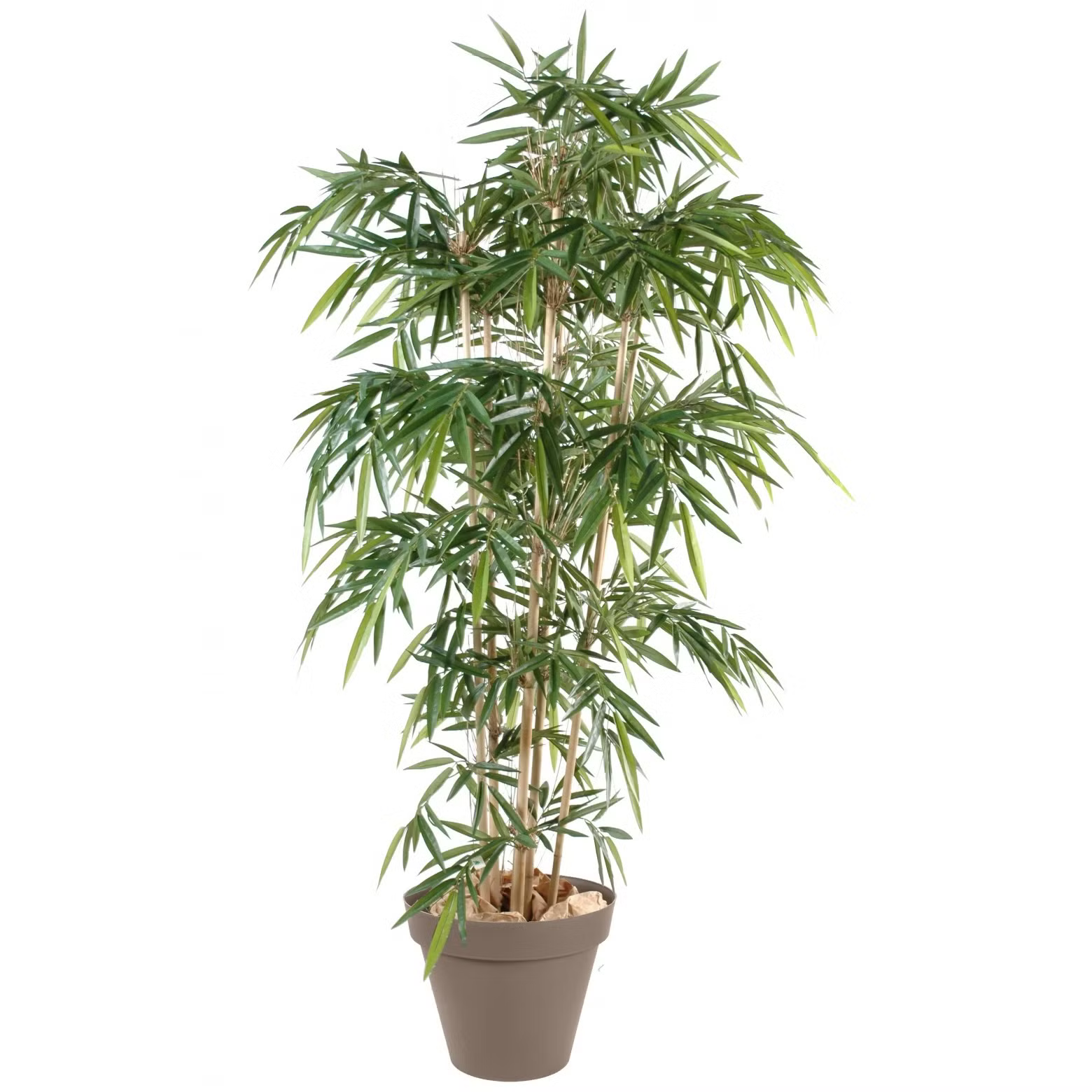PLANTE ARTIFICIELLE BAMBOU IJN6912-01