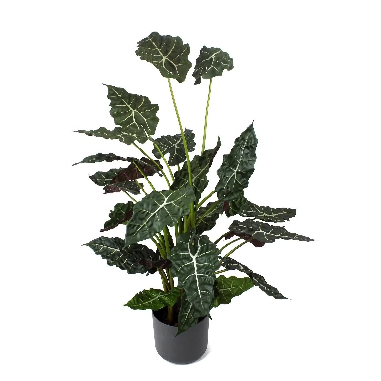 PLANTE ARTIFICIELLE ALOCASIA SANDERIANA SKO7392-UV