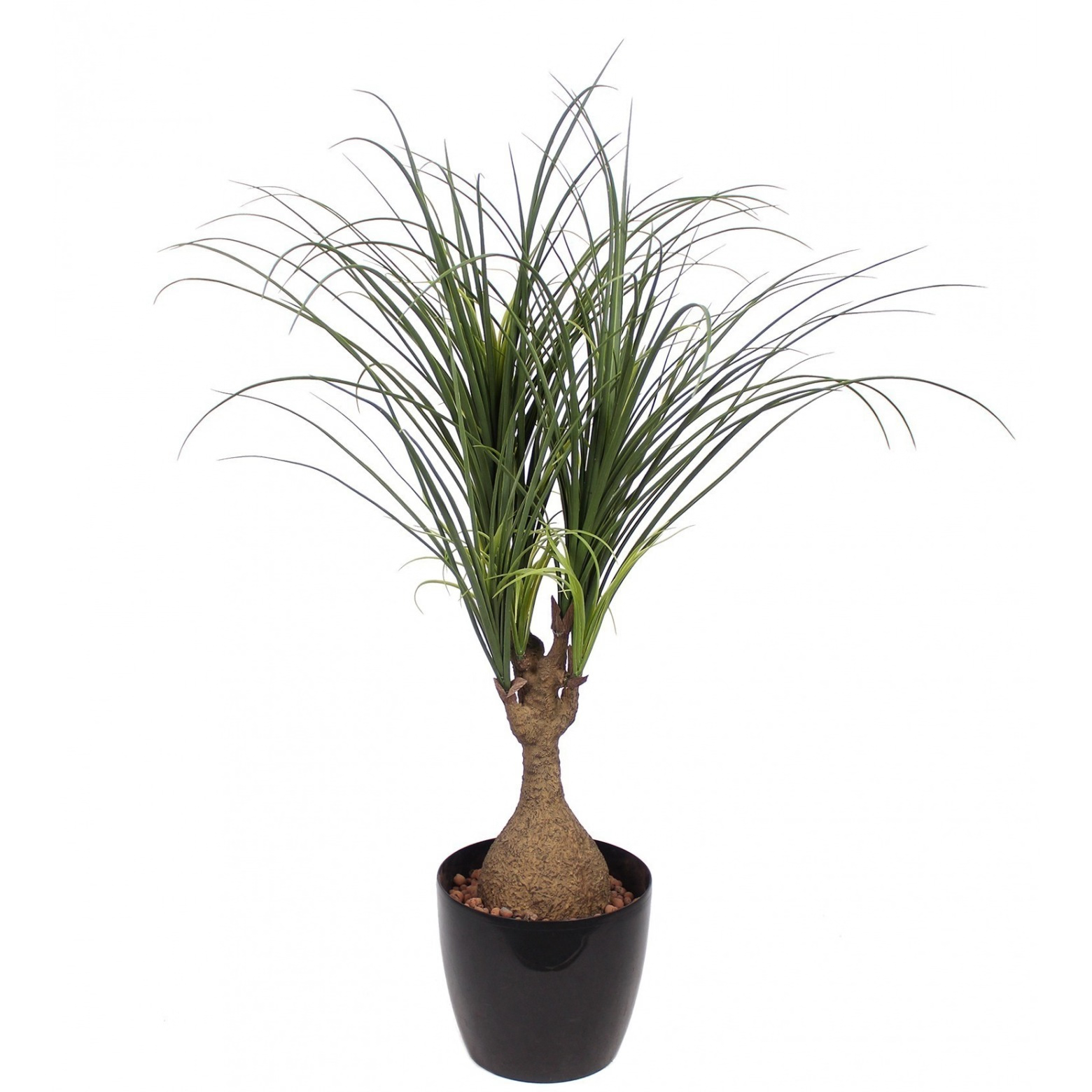 PLANTE ARTIFICIELLE BEAUCARNEA SSG7346
