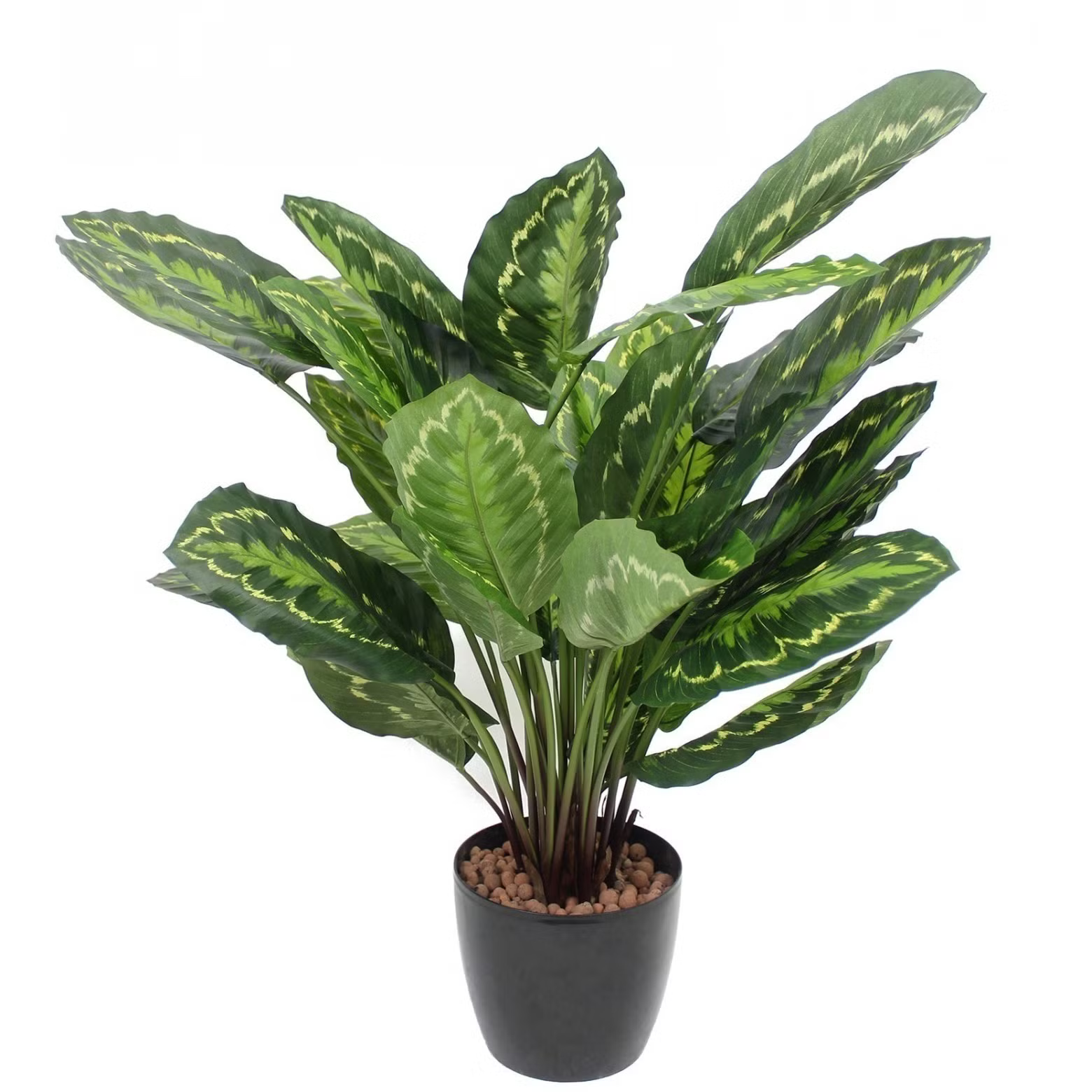 PLANTE ARTIFICIELLE CALATHEA XFY2723-UV