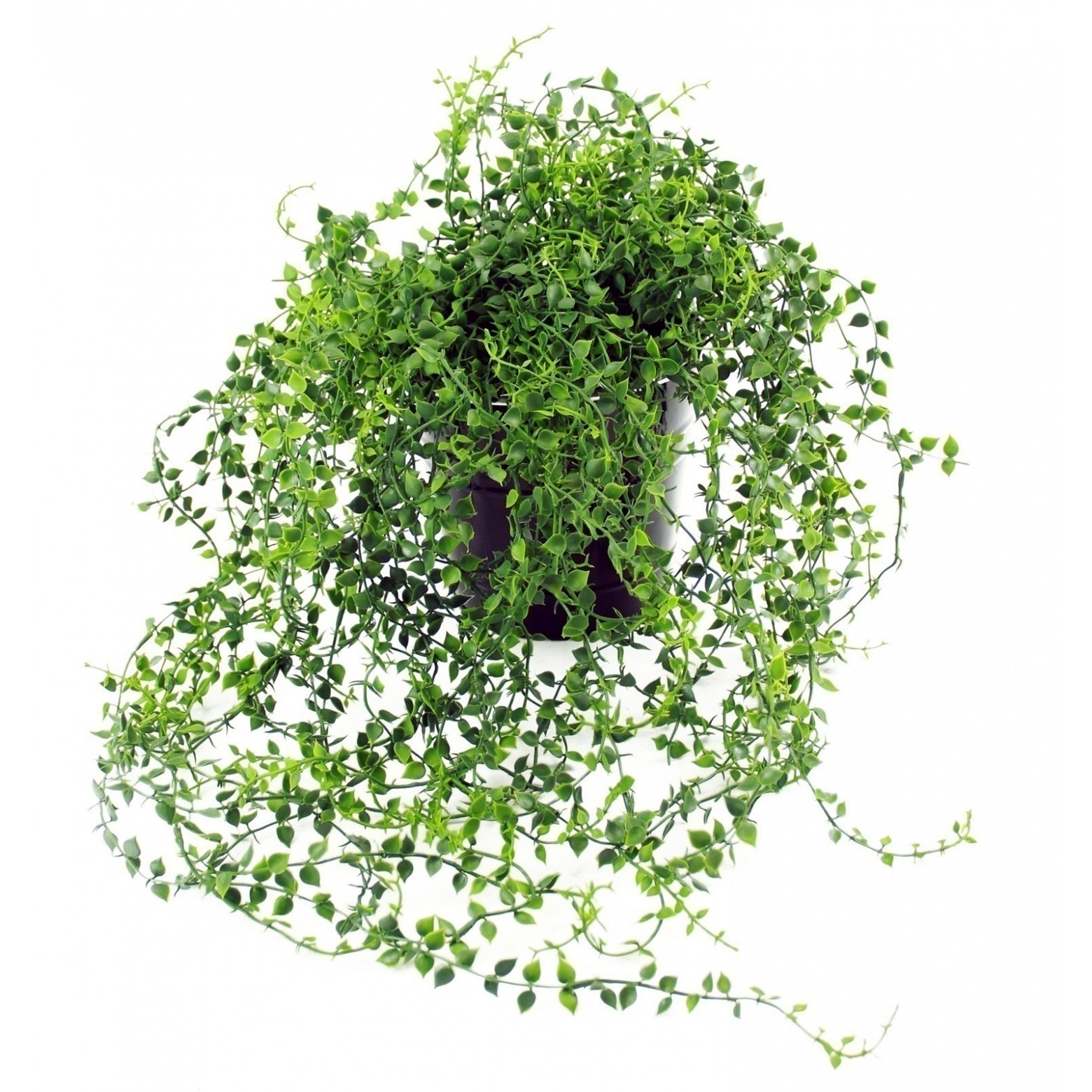 PLANTE ARTIFICIELLE CHUTE DE CALLISIE JYX2779-UV