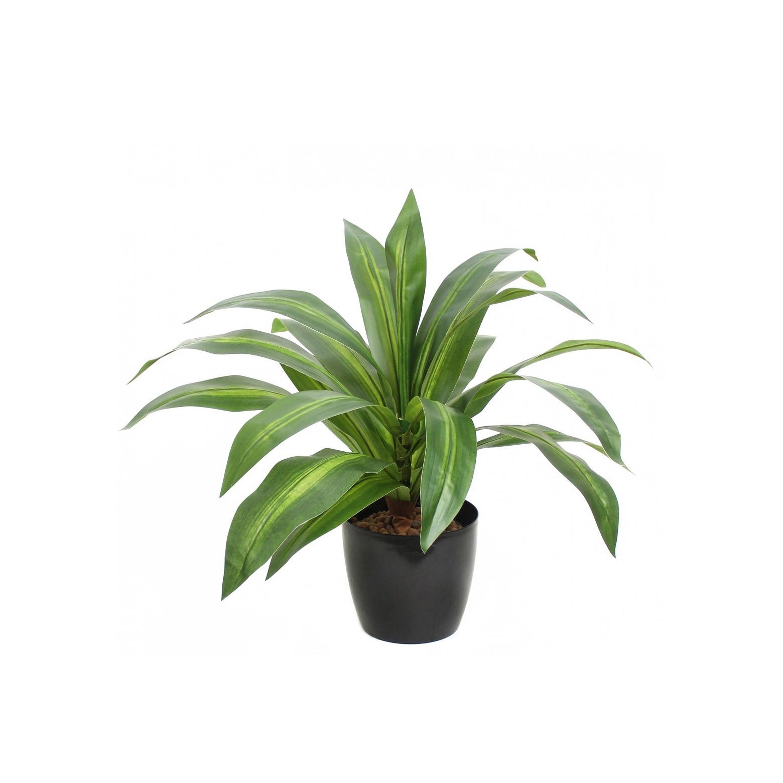 PLANTE ARTIFICIELLE DRACAENA VERT UHB5873-01