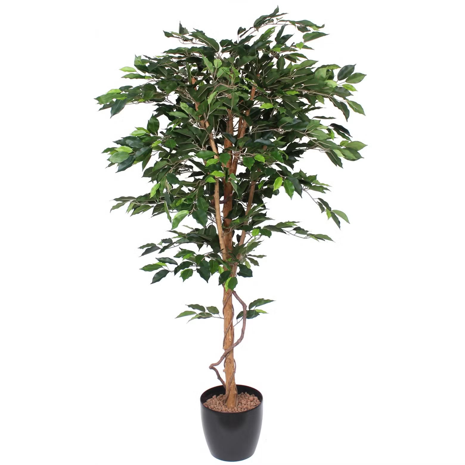Plante Artificielle Ficus