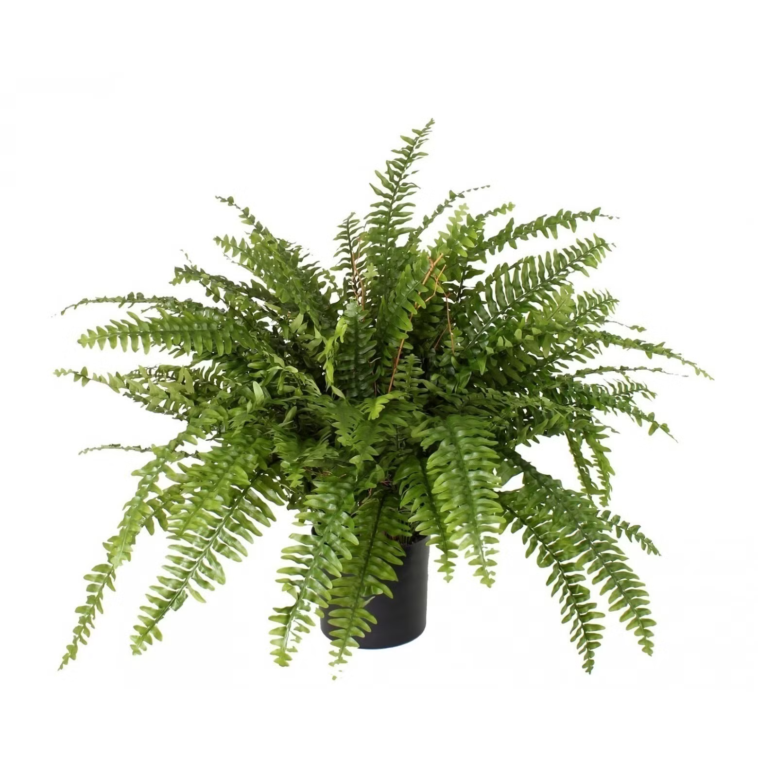 PLANTE ARTIFICIELLE FOUGERE LQX7873