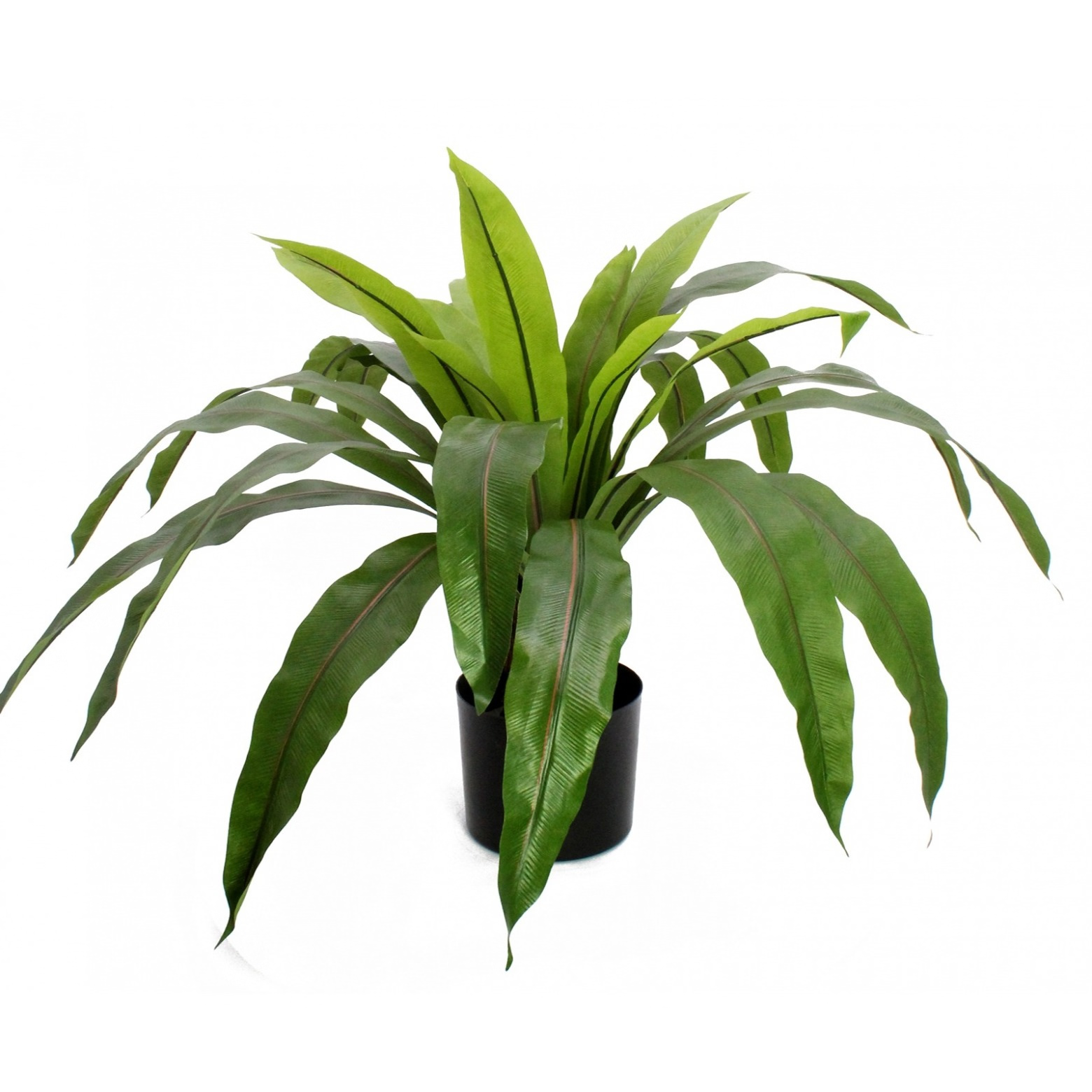 PLANTE ARTIFICIELLE GRANDE FOUGERE ASPLENIUM QWF3895-UV