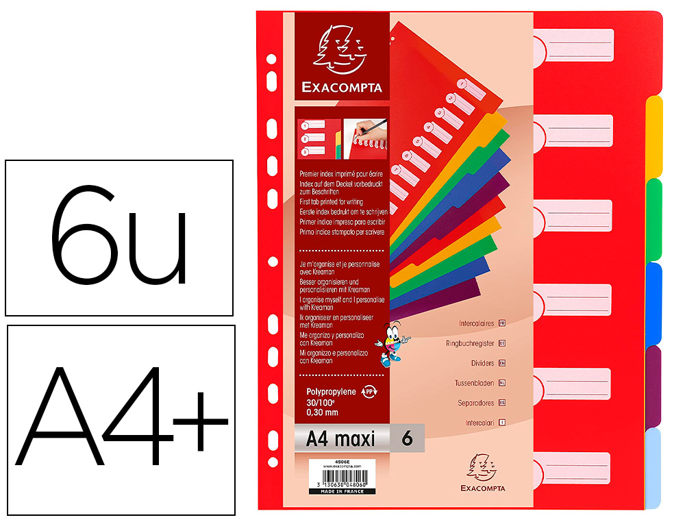 EXACOMPTA INTERCALAIRES POLYPRO 77064