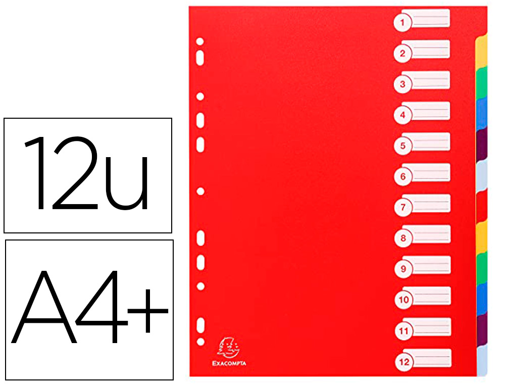 EXACOMPTA INTERCALAIRES POLYPRO 77055