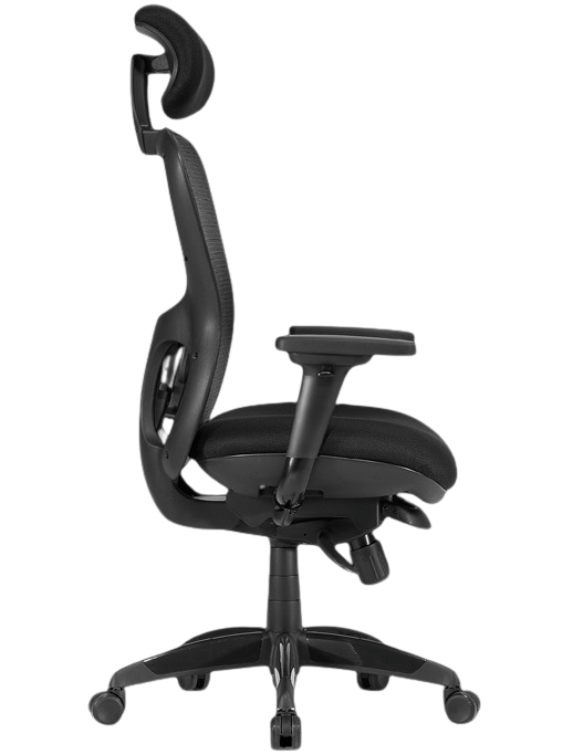 LINEA FAUTEUIL NEPTUNE 03