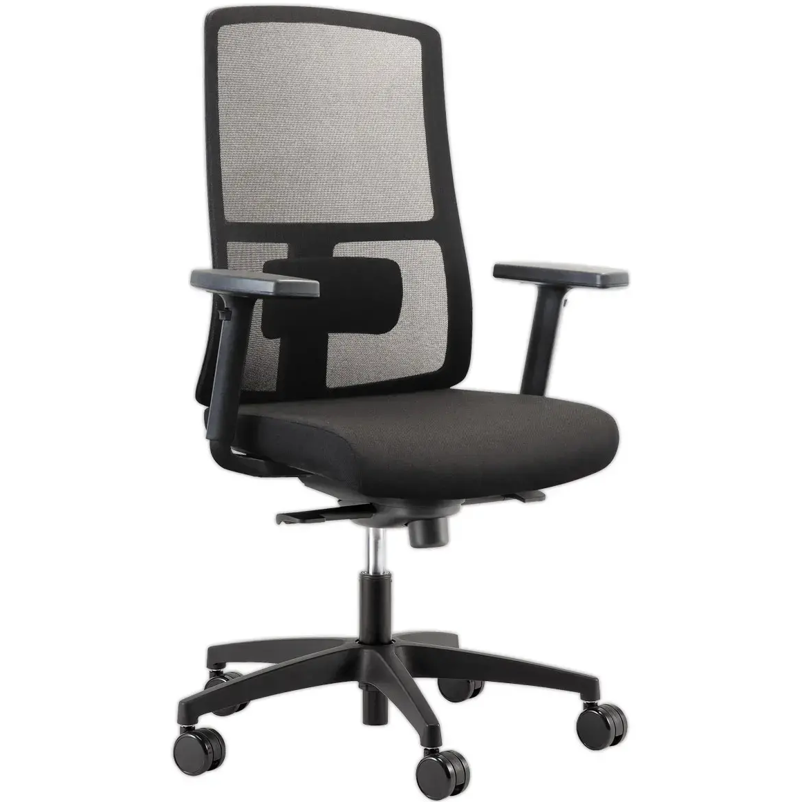 FAUTEUIL ERGONOMIQUE LINEA ARMONIA 01