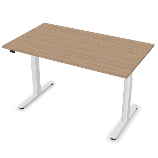 MNB ERGOTEK CHÊNE AMBRÉ & BLANC