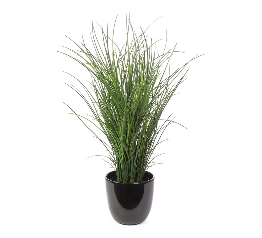 Plantes artificielles