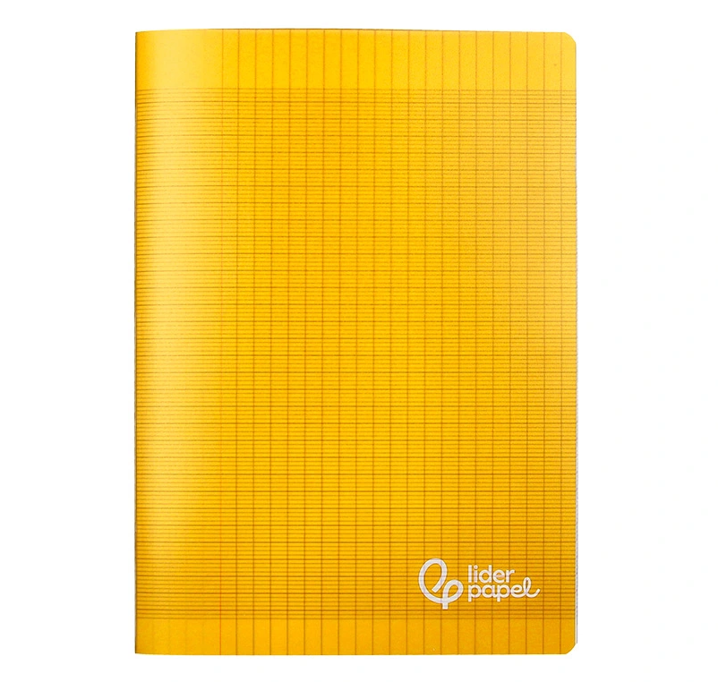 Cahiers liderpapel