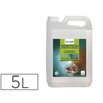 ENZYPIN DETERGENT - 45555