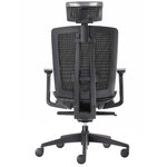 Fauteuil ergonomique MTI Darklighter noir, vue de dos