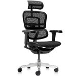 Fauteuil ergonomique MTI Ergohuman Ultra noir