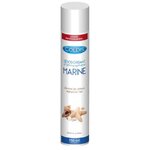 Désodorisant aérosol professionnel marine Coldis 750 ml