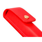 BELIUS STYLO PASSION DOR 161099.3