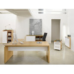 Caisson mobile GAUTIER OFFICE Sliver chêne et blanc vue 3