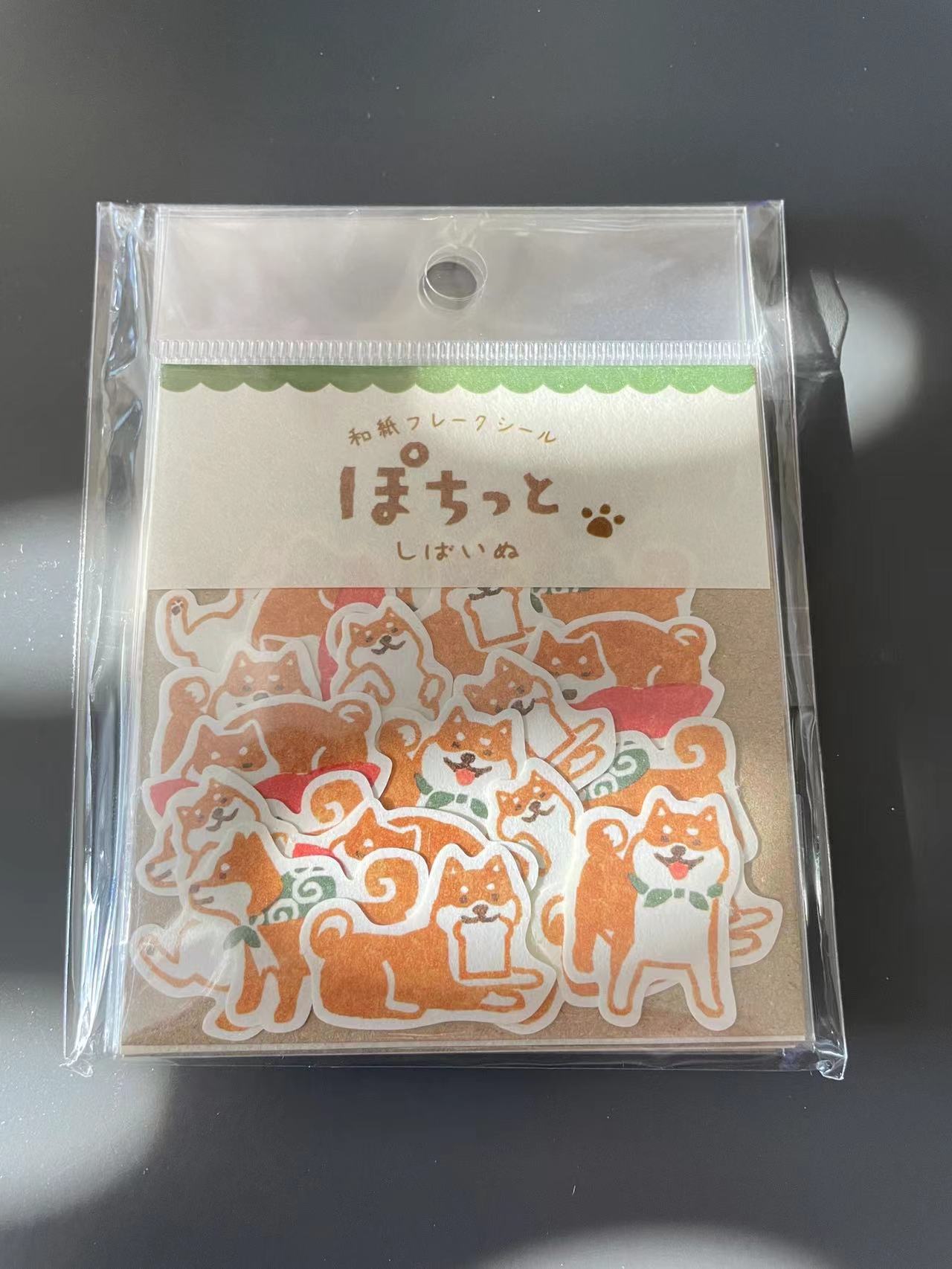 Shiba Inu 8