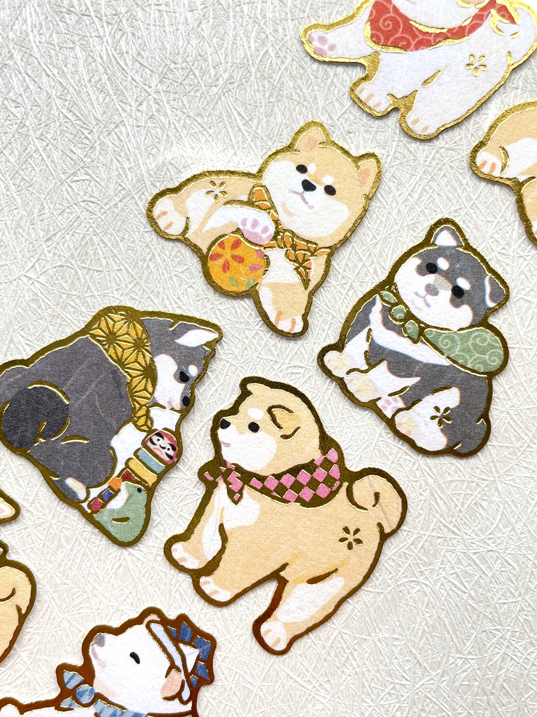 shiba 04