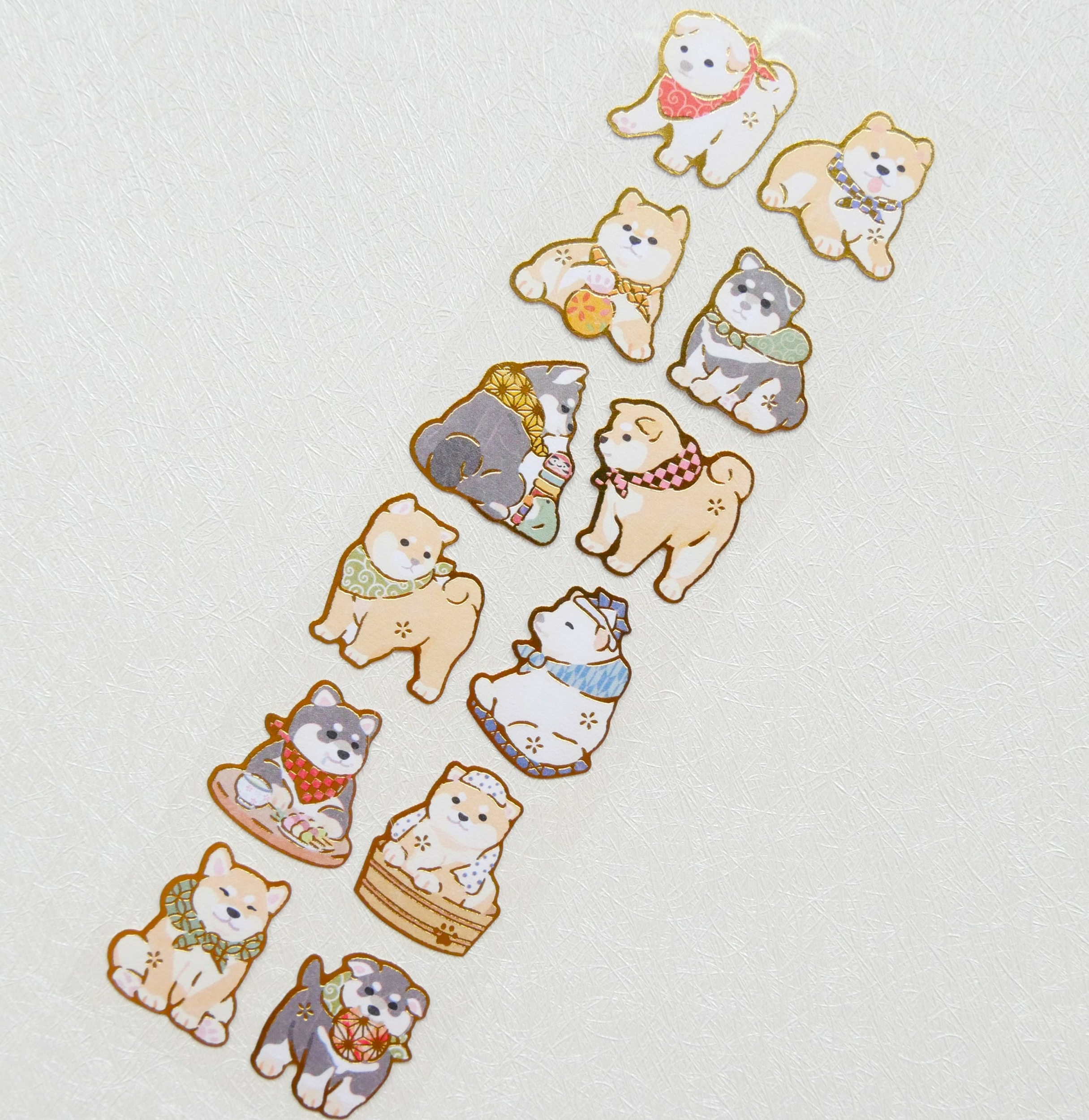 shiba 01