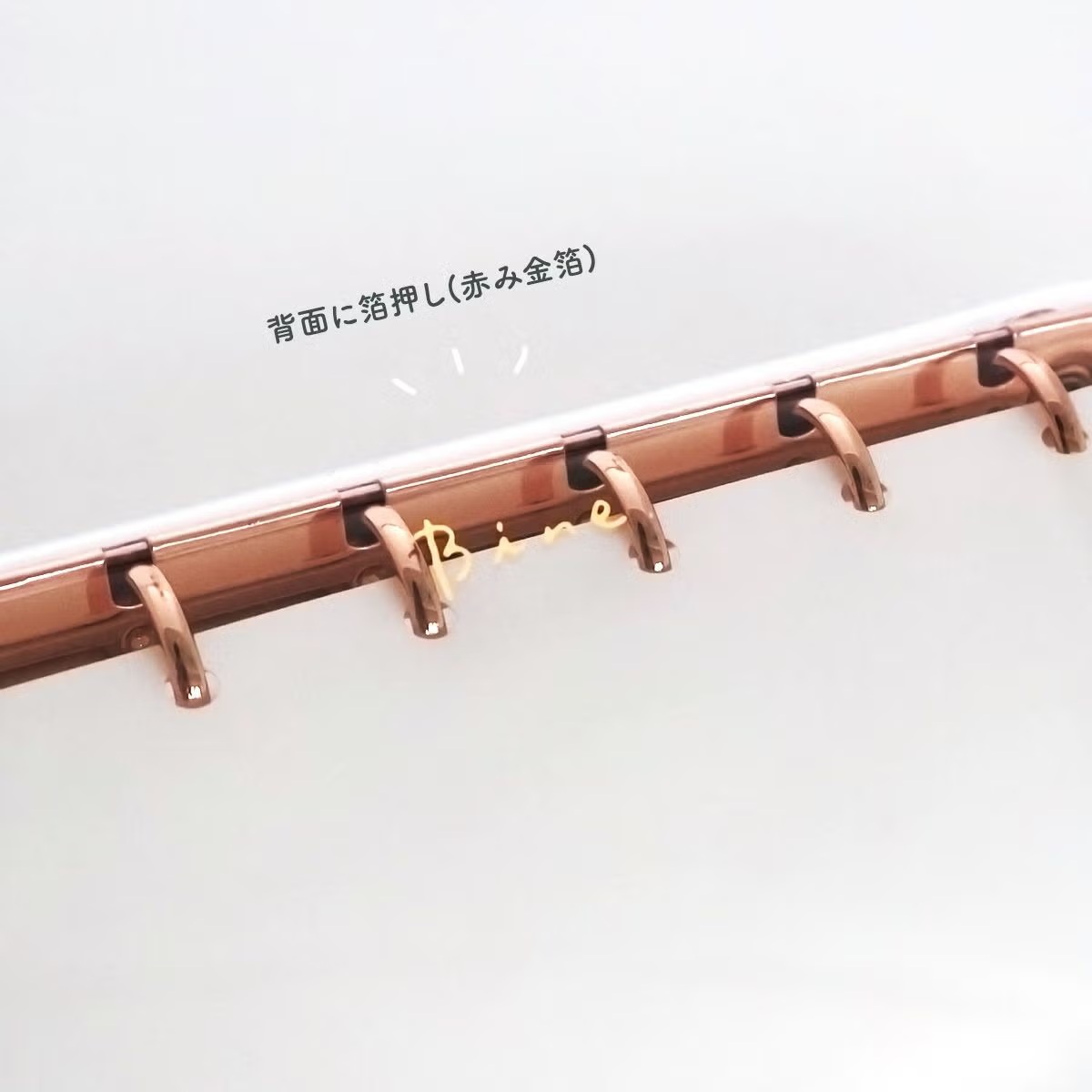Mind Wave Bine – Classeur A6 Transparent « Pink Gold »_4