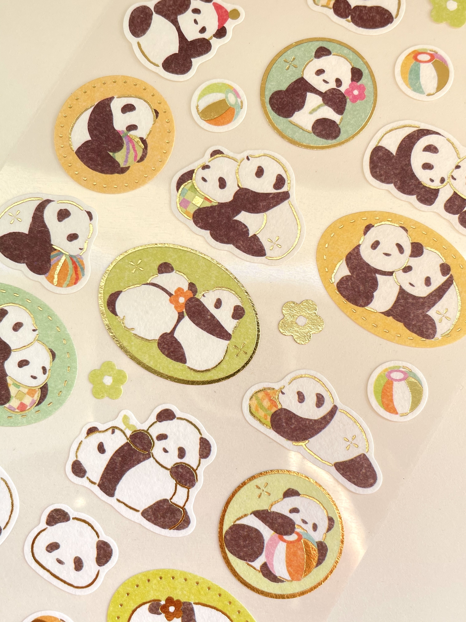 panda 02