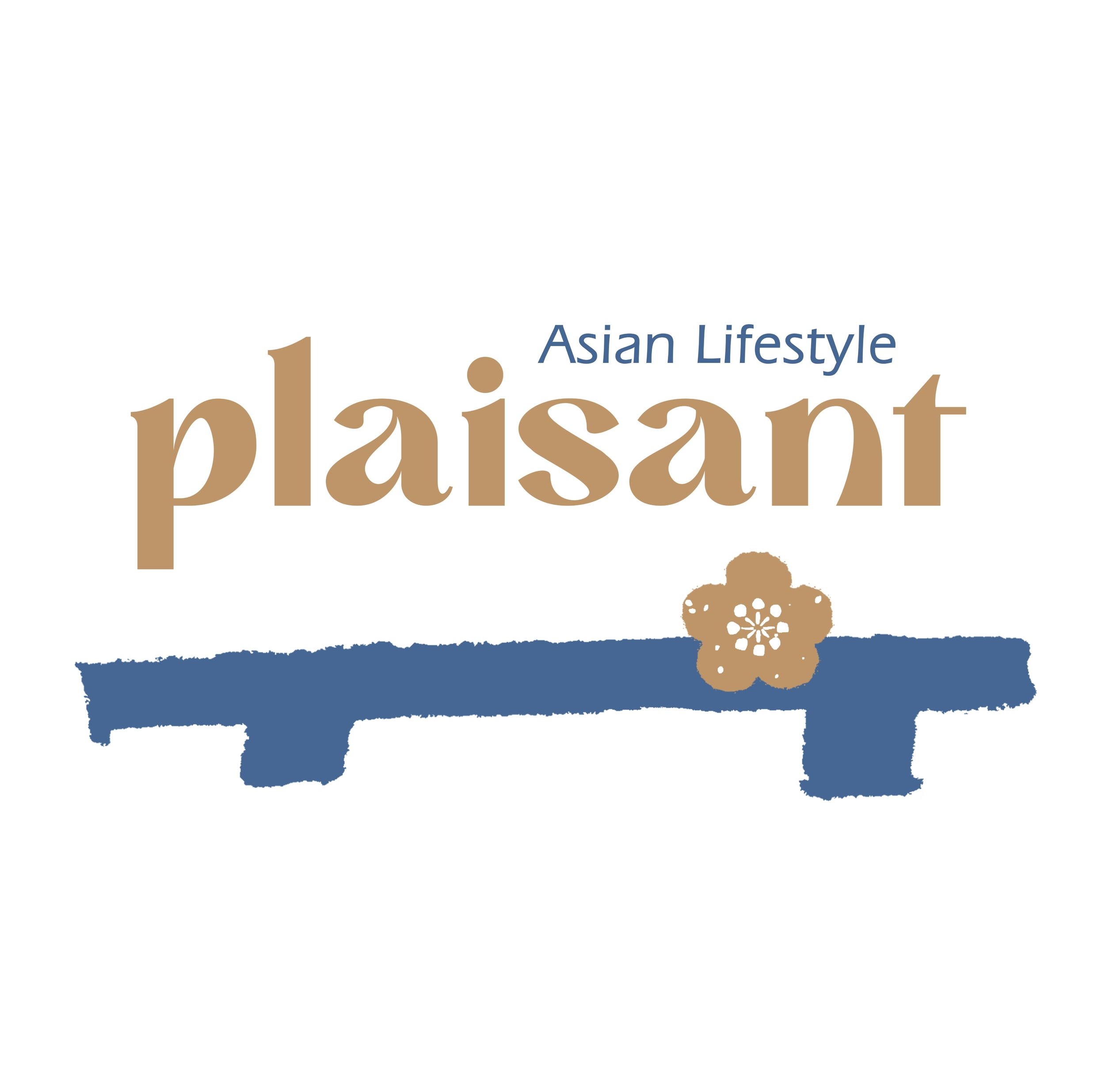PLAISANT concept store asiatique - Papeterie / Lifestyle / Créations