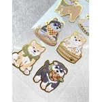 shiba 05