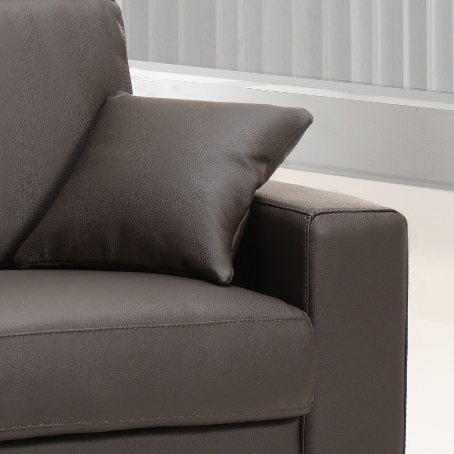canape-convertible-rapido-caroline-coussin
