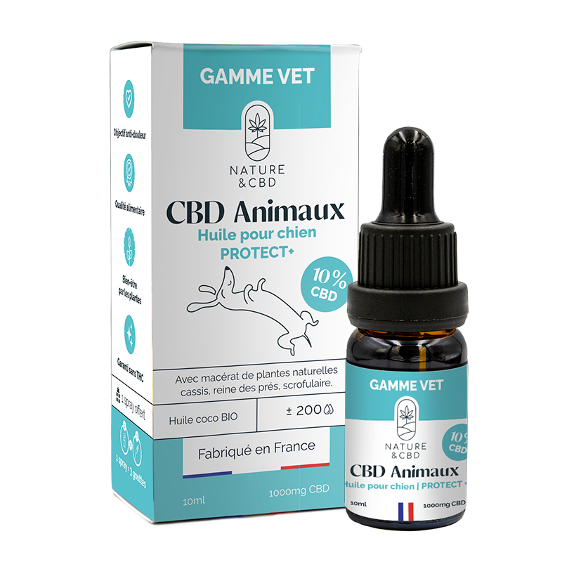 huile-cbd-animaux-protect-10-chien (1)