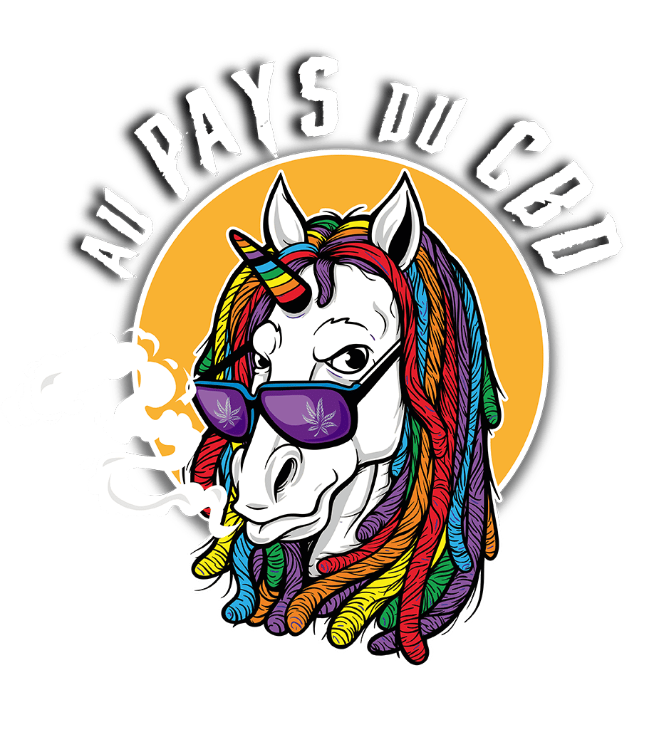 logo sans fond ok