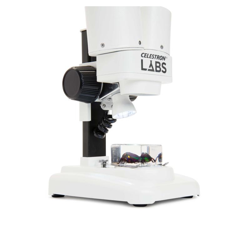 loupe-binoculaire-labs-s20-stereo-celestron-2