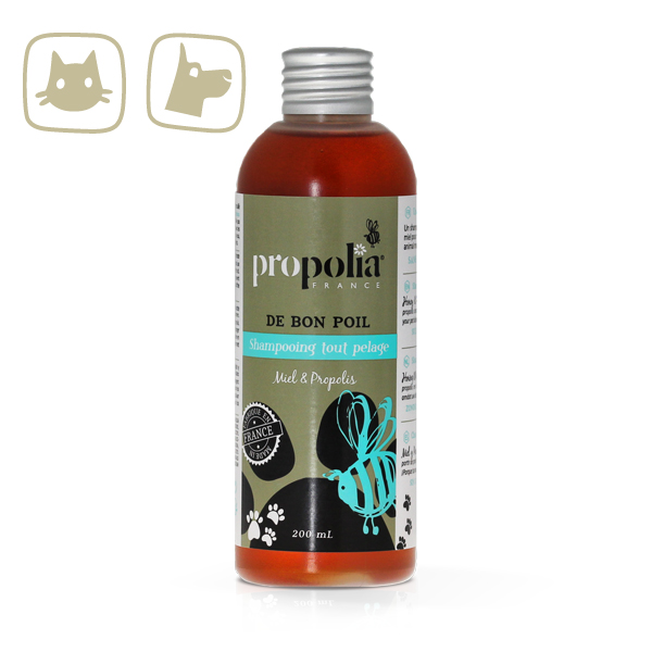 shampooing-tout-pelage